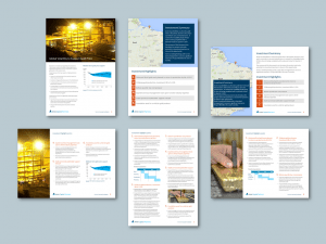 PowerPoint A4 report templates for global equity firm. Client: Arete Capital Partners