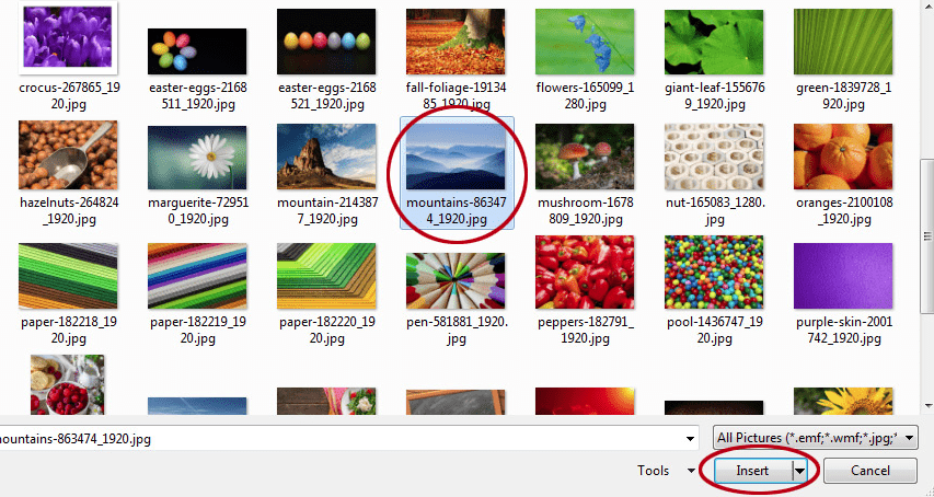 How to change the picture on a PowerPoint slide. Insert a new picture.