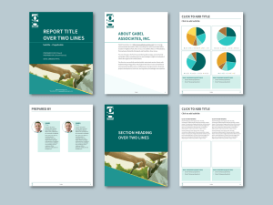 gabel-powerpoint-letter-template-energy-consultancy