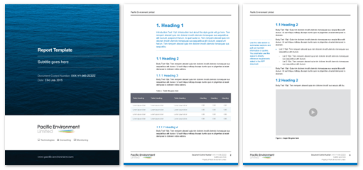 Pacific Environment Word proposal template